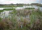Picture 031